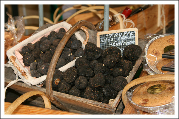 Truffes du Périgord