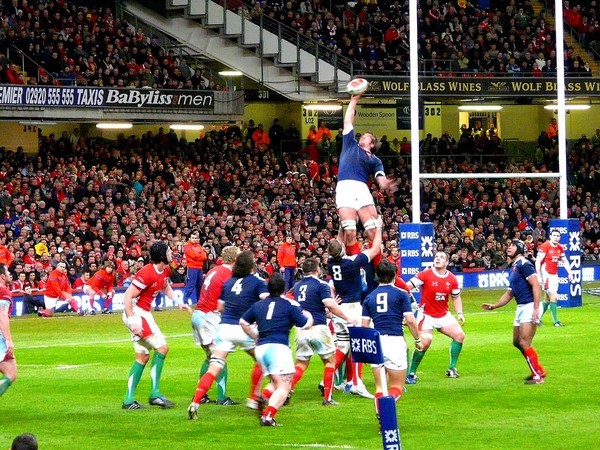 Rugby à XV